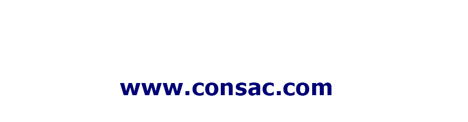 Excellence in Engineering Design & BIM Services | Consac